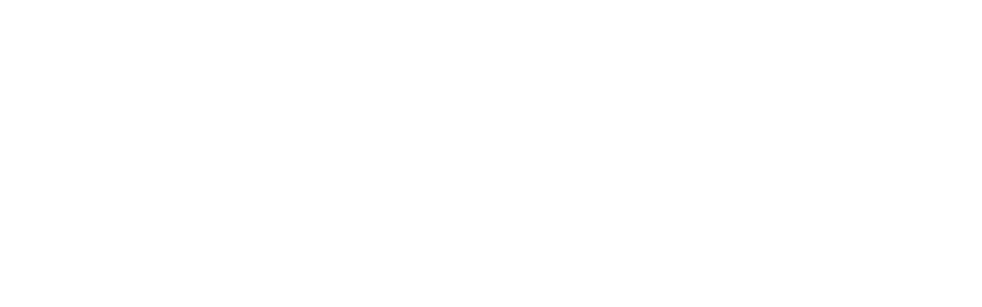 Project Pro